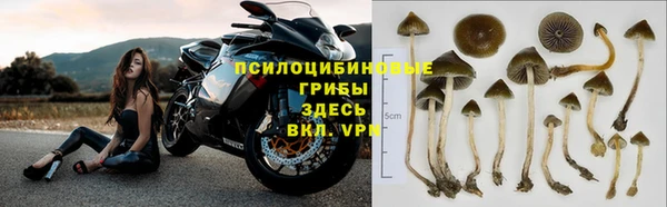 PSILOCYBIN Алексин