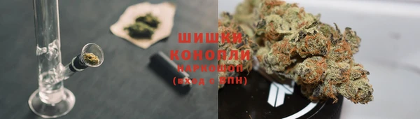 спиды Алексеевка