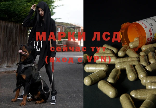 MESCALINE Абаза