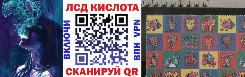 где купить наркоту  Болхов  Наркотические марки 1,5мг 
